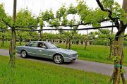 Le Jaguar nella zona del Prosecco e Cartize (78/152)